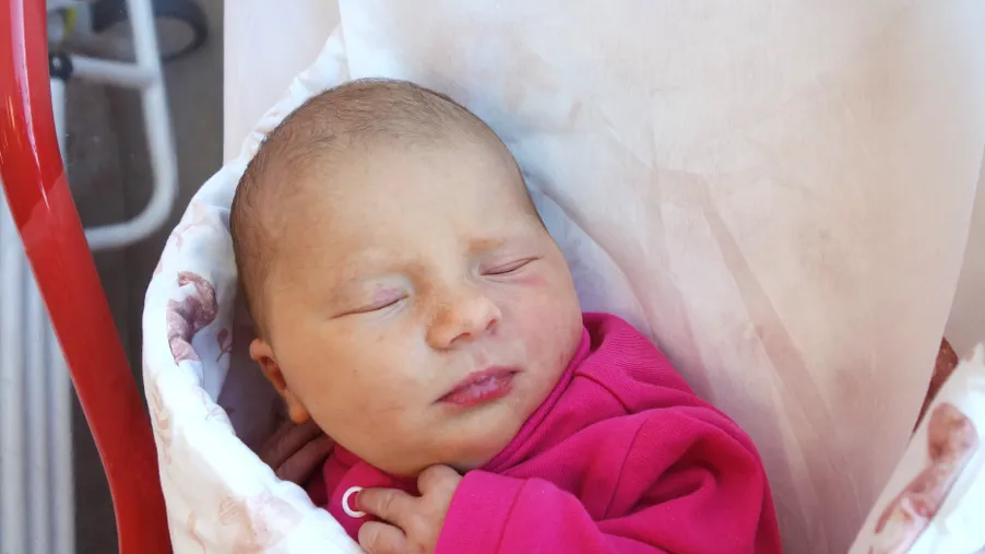 Viktorie